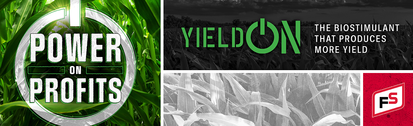 YieldOn 1440x440 Web Banner_WEB